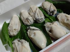 -荔苑老鱼庄