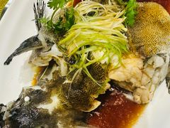 -东国海鲜火锅城(氹仔店)