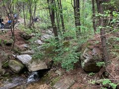 -王顺山国家森林公园