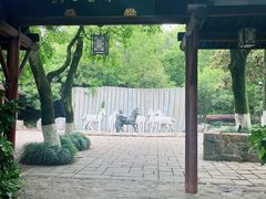 -白马涧龙池景区