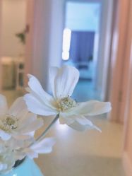 -RAGA皮肤管理中心·美体养生SPA