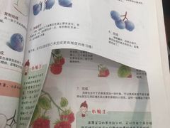 -吉林省图书馆