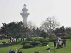 -渡海小渔村.老辈日照菜