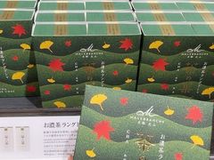 -关西国际机场直营免税店