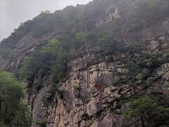 -青峰峡国家森林公园