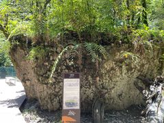 -西岭雪山大飞水景区