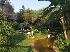 -海南热带野生动植物园
