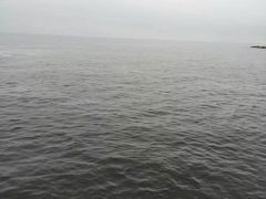 -玫瑰海岸文化旅游度假区