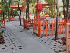 -陶缘一号·四季缘·老字号顺德菜·户外婚礼家宴(西滘店)