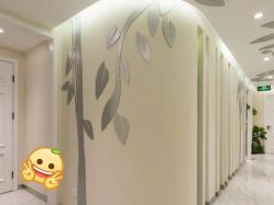 -健身堂科技美肌SPA