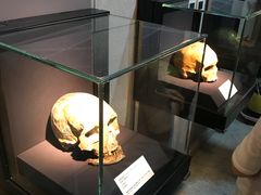 -北京周口店北京人遗址博物馆