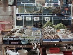 -都斛海鲜街