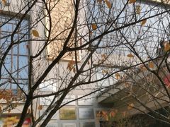 -亮宝楼国宴+文化陕菜