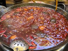 -肥龙火锅(南坪店)