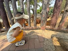 -石家庄市动物园