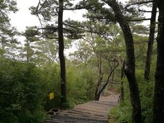 -洛阳白云山景区