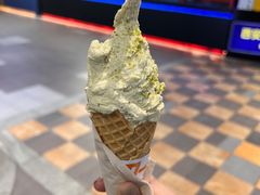 -野人先生现做冰淇淋(西安赛格店)
