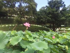 -龙环葡韵住宅式博物馆