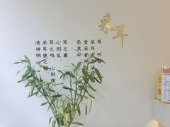 -乐老大耳道·可视采耳·禅洗·推拿(大成直营店)