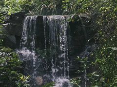 -虎跑公园