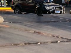 -人民防洪胜利纪念塔