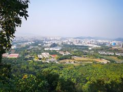 -南京老山国家森林公园