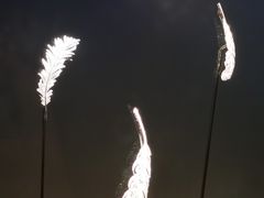 -上海当代艺术博物馆