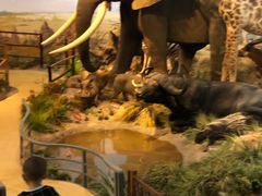 -陕西自然博物馆