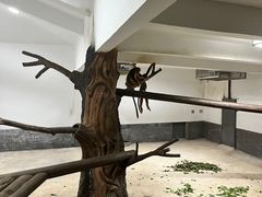 -杭州野生动物世界