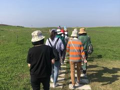 -洪湖湿地生态园