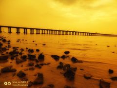 -宝安西湾红树林湿地公园