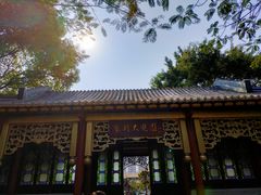 -顺峰山公园