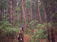 -帽儿山国家森林公园