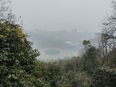 -八卦田遗址公园
