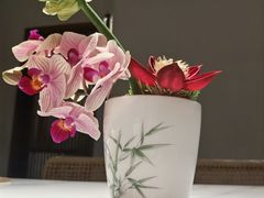 -上上席川菜(凯德乐峰广场店)