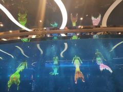 -瑞德姆美人鱼海底演艺主题餐厅(亚龙湾店)