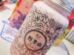 -野萃山·潮汕厚果汁(十亩地店)