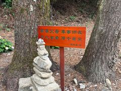 -寂照庵