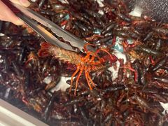 -蛙太牛牛肉海鲜自助火锅(台江万达店)