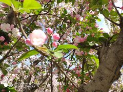 -元大都城垣遗址公园