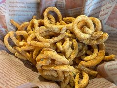 -百好乐宠物友好餐厅(朝外大街店)