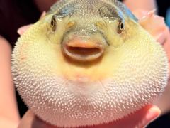 -永安鱼庄·镇江菜(东吴路店)