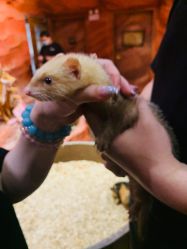 -Zoolung Zoolung动物主题公园(海信广场店)