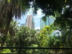 -九龙公园