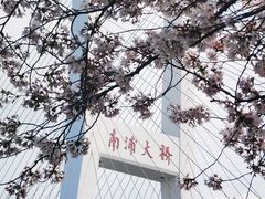 -南浦大桥长途旅游客运站