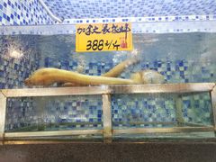 -顺德了能馆(虎门店)