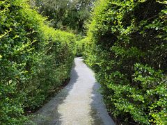 -大屏嶂森林公园