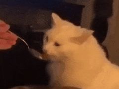 -古茗(西湖小和山店)