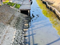 -大望京公园