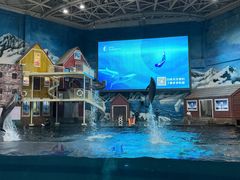 -西安曲江海洋极地公园